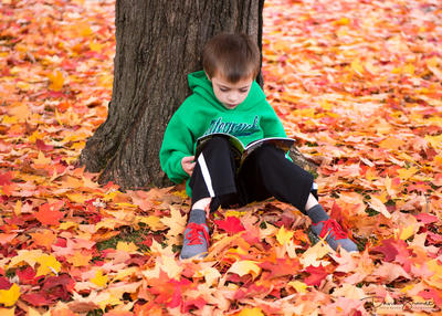 Boy Reading Book in the Fall by Davin Brandt