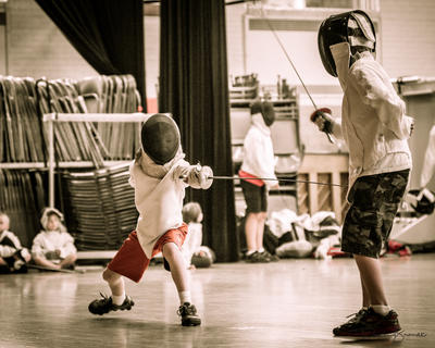 Fencing by Davin Brandt