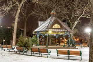 Picture:  Winter Railroad Park Gazebo by James Schuder