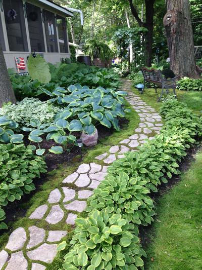 Picture:  Backyard Garden by Thomas Waldvogel
