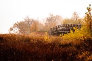 Picture:  Fall Bridge by James Schuder