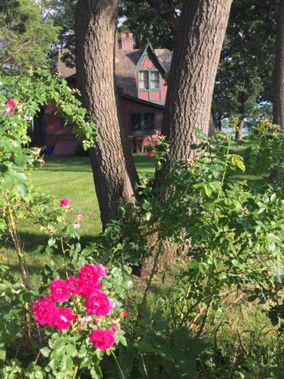 Picture:  Red Flowers at Fillebrown House by Mike Brooks