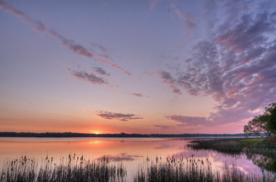 Picture:  Sunrise with Reeds by Rachel Cain