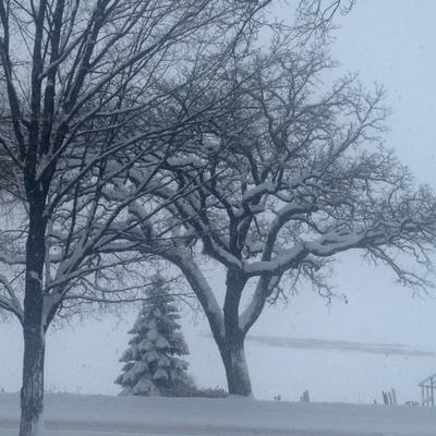 Picture:  Lake Avenue in January by Steve Vinck