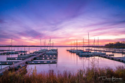 Marina in Purple by Davin Brandt