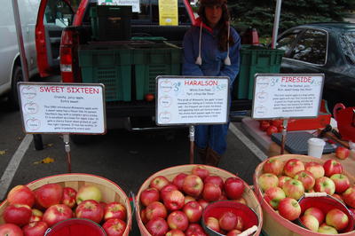 Apples for sale