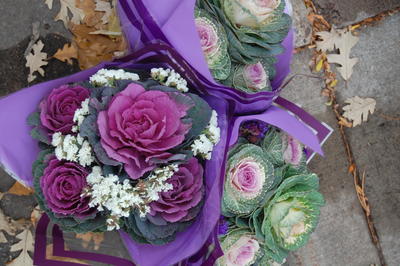 Flowers for sale