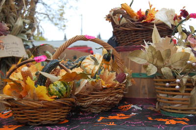 Fall flowers