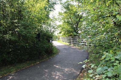 trail_to_birch_lake_bllvd.jpg