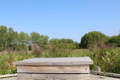 boardwalk_bench_overlooking_wetlands.jpg